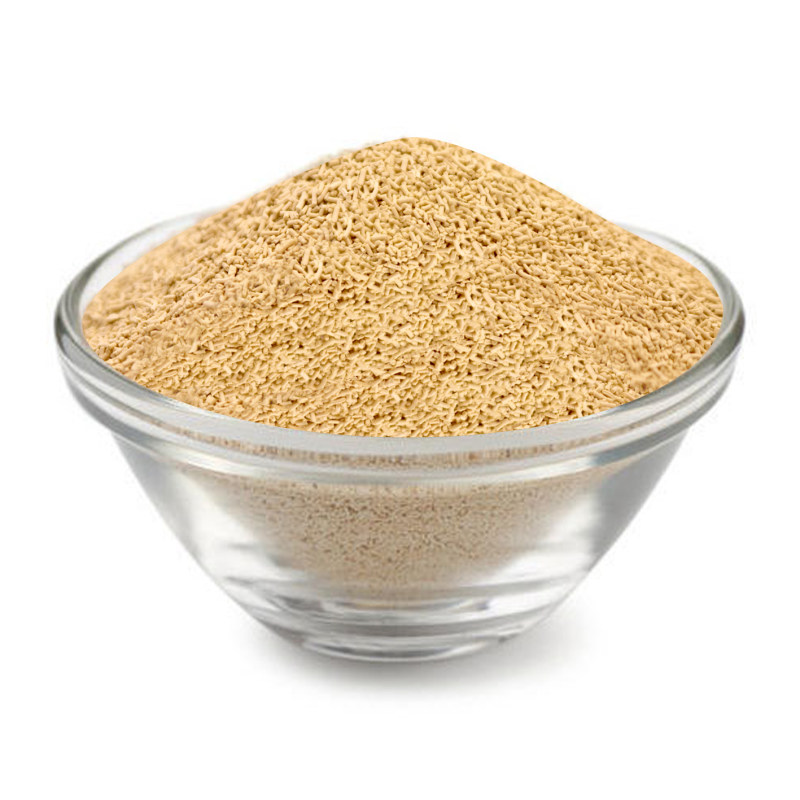 خمیر مایه خشک (۱۰۰گرم)